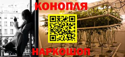 ешки Тверь
