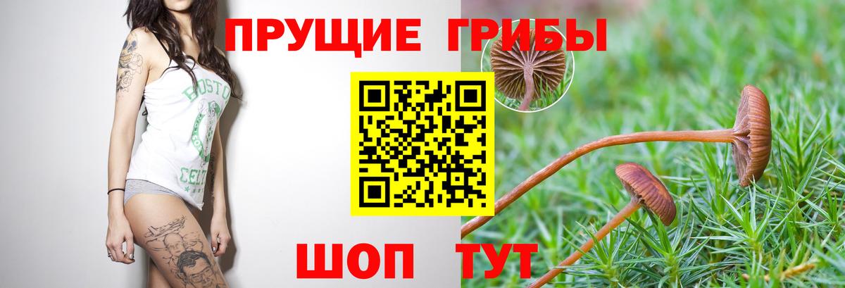Метамфетамин Мценск